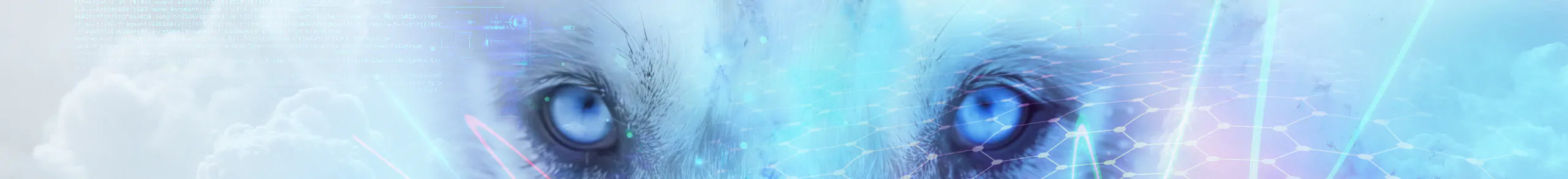 Lobo Gris Software banner