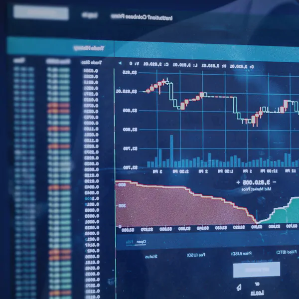 Lobo Gris Capital platform